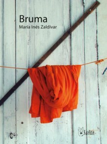 Bruma_maria_ines_zaldivar_500