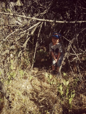 Tony disfrutando del verano en el bosque.