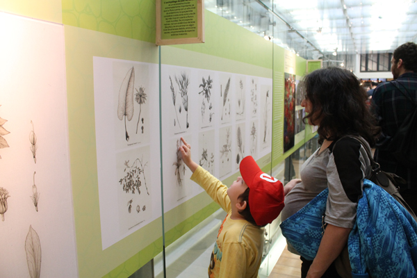 Tony y yo en la exposición de ilustración botánica